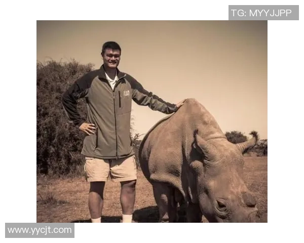 罗斯与姚明的巅峰对决：篮球场上的传奇碰撞与友谊的延续