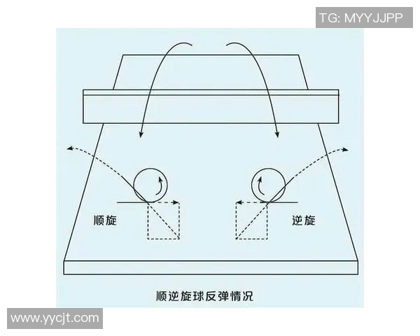 科学乒乓球速度训练方法探究与实用技巧分享