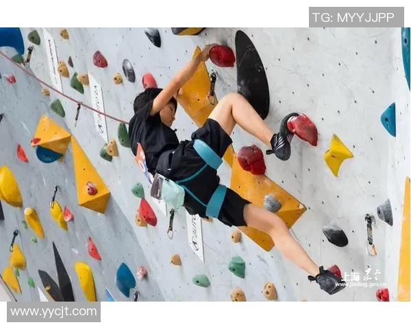 西安攀岩队的团队协作探索与实践：攀登高峰的精神与力量